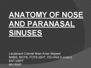 ANATOMY OF NOSE AND PARANASAL SINUSES Lieutenant Colonel