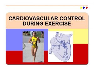 CARDIOVASCULAR CONTROL DURING EXERCISE Major Cardiovascular Functions w