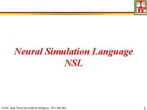 Neural Simulation Language NSL CS 564 Brain Theory