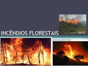 INCNDIOS FLORESTAIS INDICE Problema ambiental e social Causas