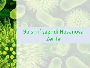 9 b sinif agirdi Hsnova Zrif Kalsium ndir