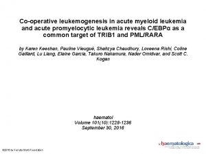 Cooperative leukemogenesis in acute myeloid leukemia and acute