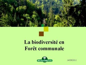 La biodiversit en Fort communale 14092011 La biodiversit