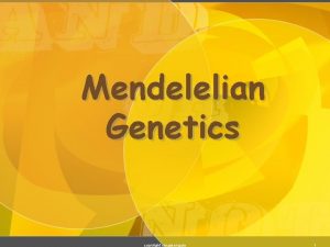 Mendelelian Genetics copyright cmassengale 1 Gregor Mendel Austrian