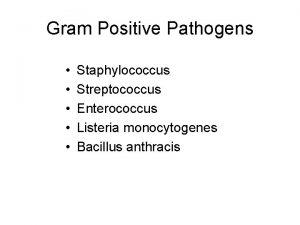 Gram Positive Pathogens Staphylococcus Streptococcus Enterococcus Listeria monocytogenes