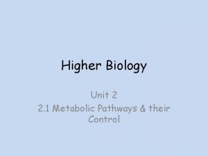 Higher Biology Unit 2 2 1 Metabolic Pathways