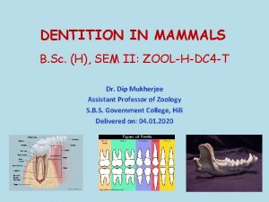 DENTITION IN MAMMALS B Sc H SEM II