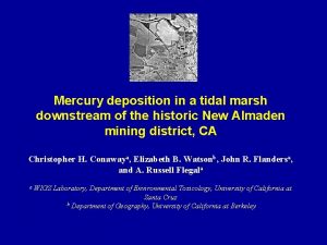 Mercury deposition in a tidal marsh downstream of