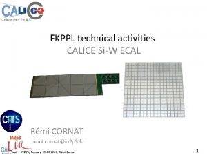 FKPPL technical activities CALICE SiW ECAL Rmi CORNAT