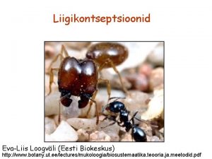 Liigikontseptsioonid EvaLiis Loogvli Eesti Biokeskus http www botany