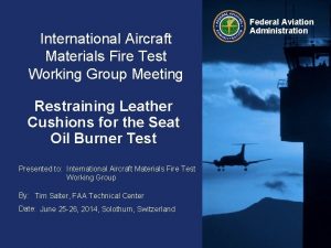 International Aircraft Materials Fire Test Working Group Meeting