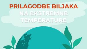 Prilagodbe biljaka na visoke temperature