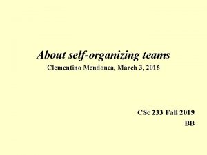 About selforganizing teams Clementino Mendonca March 3 2016