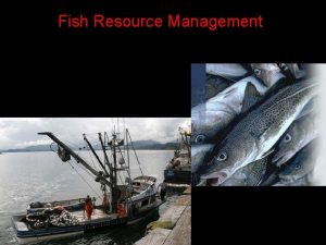 Fish Resource Management About 80 of fish harvested