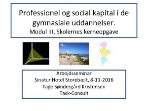 Professionel og social kapital i de gymnasiale uddannelser