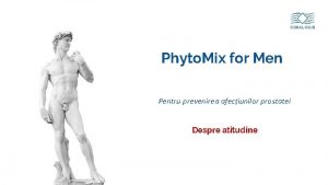 Phyto Mix for Men Pentru prevenirea afeciunilor prostatei