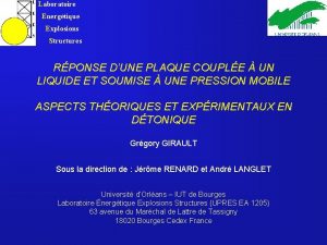 Laboratoire Energtique Explosions Structures RPONSE DUNE PLAQUE COUPLE