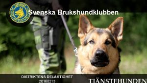 Svenska Brukshundklubben DISTRIKTENS DELAKTIGHET 20160213 Varfr telefonkonferenser ka