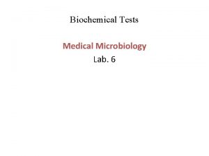 Biochemical Tests Medical Microbiology Lab 6 Oxidase Test