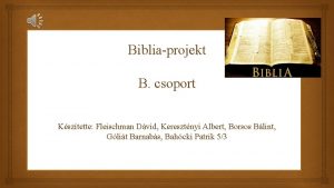 Bibliaprojekt B csoport Ksztette Fleischman Dvid Keresztnyi Albert