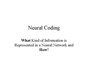 Neural Coding What Kind of Information is Represented