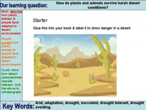 How do plants and animals survive harsh desert