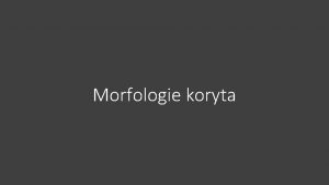 Morfologie koryta Vltavsk vodn cesta Jirskv most esk