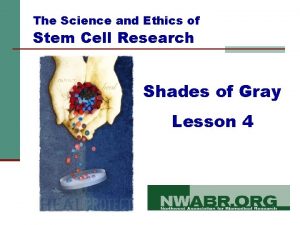 The Science and Ethics of Stem Cell Research