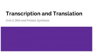 Transcription and Translation Unit 3 DNA and Protein