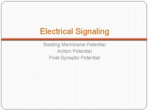 Electrical Signaling Resting Membrane Potential Action Potential PostSynaptic