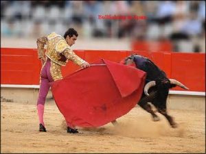 Bullfighting in Spain Bullfighting Vocabulary Matador It means