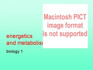 energetics and metabolism biology 1 The chemistry of