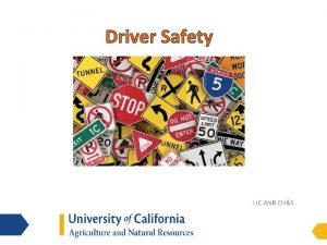 Driver Safety UC ANR EHS UnSafe Driving Statistics