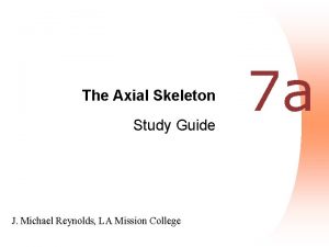 The Axial Skeleton Study Guide J Michael Reynolds