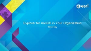 Explorer for Arc GIS in Your Organization Mabel