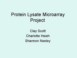Protein Lysate Microarray Project Clay Scott Charlotte Hsieh