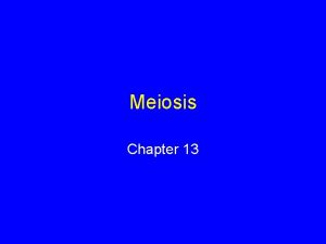 Meiosis Chapter 13 Octopus Sex Male reaches under