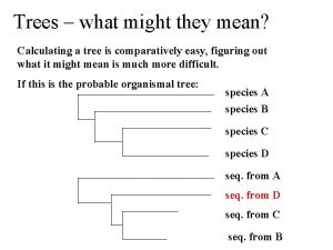 Trees what might they mean Calculating a tree