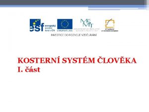 KOSTERN SYSTM LOVKA I st VZNAM KOSTRY Kostra