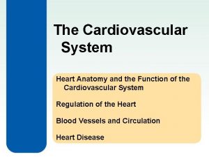 The Cardiovascular System Heart Anatomy and the Function