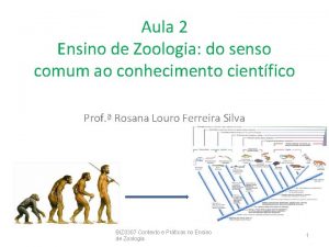 Aula 2 Ensino de Zoologia do senso comum