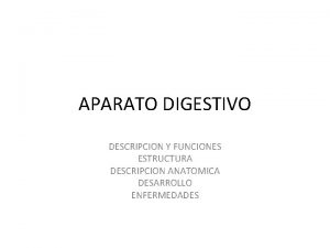 APARATO DIGESTIVO DESCRIPCION Y FUNCIONES ESTRUCTURA DESCRIPCION ANATOMICA