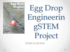 Egg Drop Engineerin g STEM Project STEM CLUB