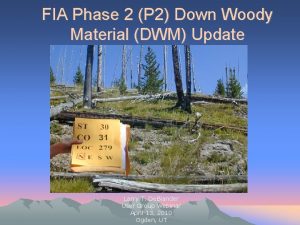 FIA Phase 2 P 2 Down Woody Material