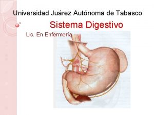 Universidad Jurez Autnoma de Tabasco Sistema Digestivo Lic