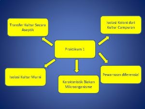 Isolasi Koloni dari Kultur Campuran Transfer Kultur Secara