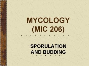 MYCOLOGY MIC 206 SPORULATION AND BUDDING General characteristics
