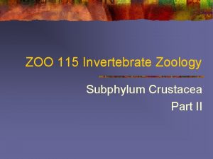 ZOO 115 Invertebrate Zoology Subphylum Crustacea Part II