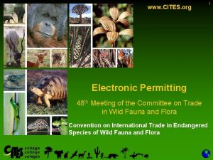 www CITES org Electronic Permitting 48 th Meeting