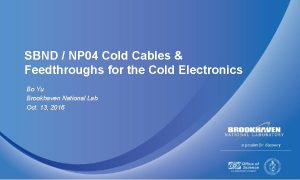 SBND NP 04 Cold Cables Feedthroughs for the